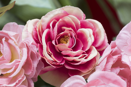 craft fabric rosesの写真素材