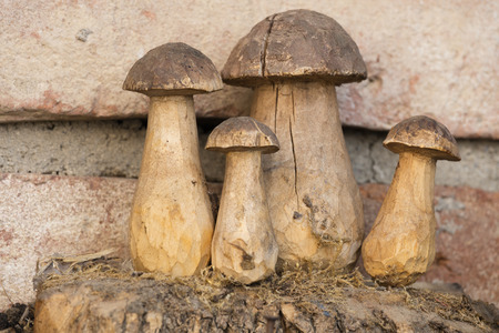 mushroom inlaid in the trunk of the treeの写真素材