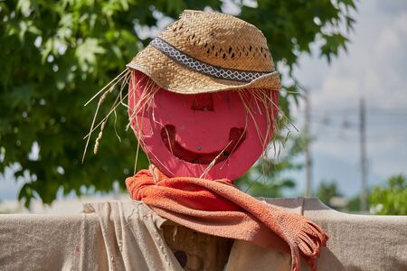 funny scarecrow in the farmの写真素材