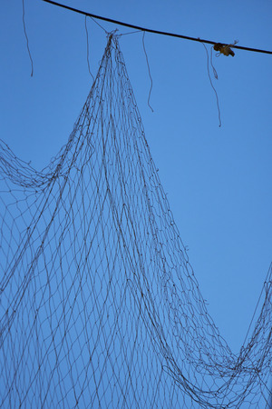 Network hanging with sky in the background