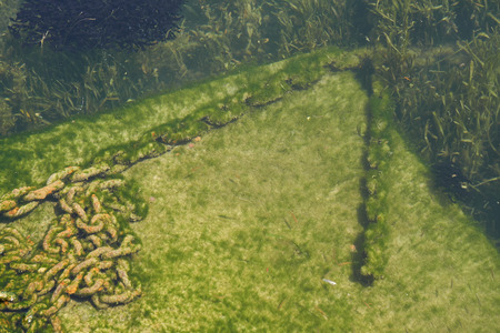 Rusty chain on the backdrop of the lake