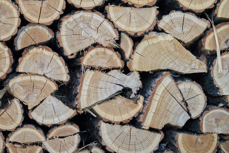 firewood in the farm