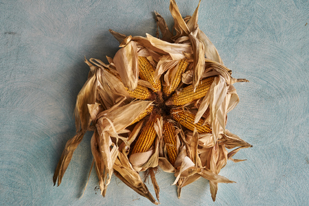 decoration with cobs in the farmの写真素材