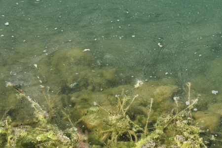 pollution on pond