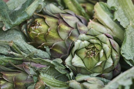artichokes for healthy foodの写真素材