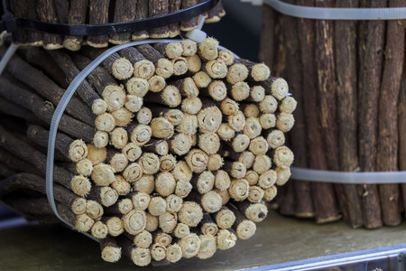 tasty licorice stickの写真素材