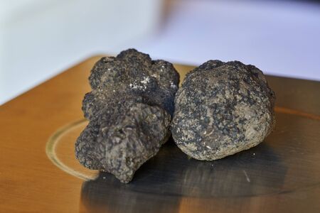 scented truffles for tasty recipesの写真素材