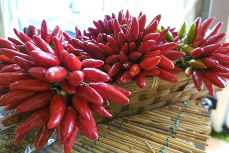 red chili pepperf or food recipeの写真素材