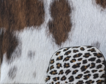 animal fur as background