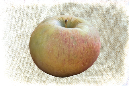 isolated apple on textureの写真素材