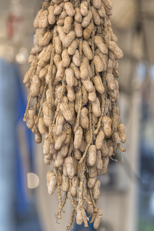 peanut waterfallの写真素材