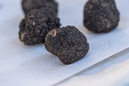 truffle for  tasty recipeの写真素材