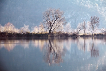 winter reflection on landscape lakeの写真素材