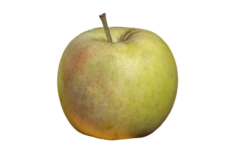 isolated sweet fresh appleの写真素材