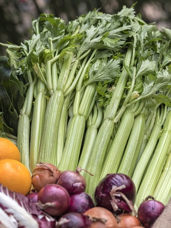 fruit and vegetables in the basketの写真素材
