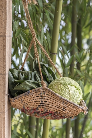 vegetables in the basketの写真素材