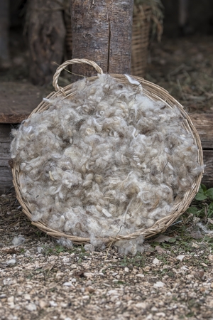 wool in basketの写真素材