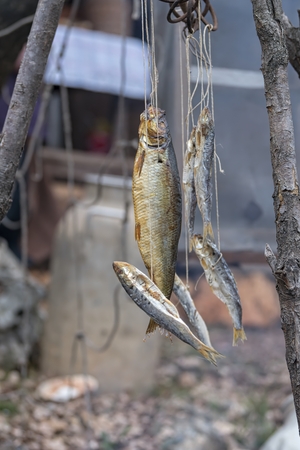 hanging dried fishの写真素材