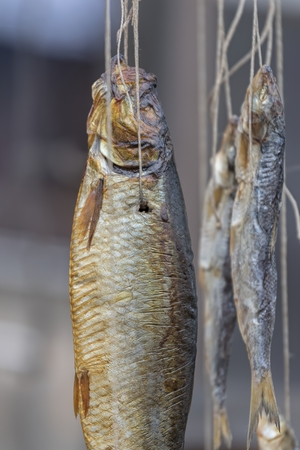 hanging dried fishの写真素材
