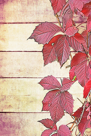 colorful autumn leafの写真素材