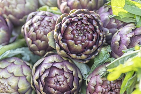artichokes for vegan recipeの写真素材