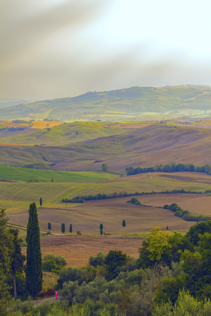 hilly landscapeの写真素材
