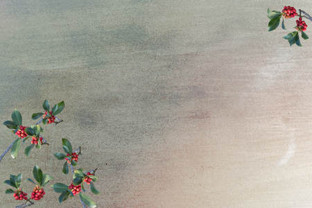 ilex aquifolium on cars backgroundの写真素材