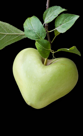 apple heart for love on blackの写真素材