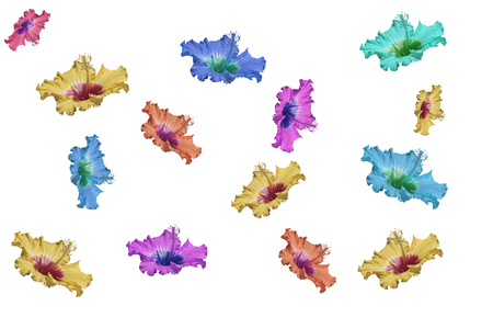 colorful hibiscus pattern background