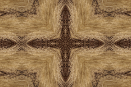 abstract animal furの写真素材