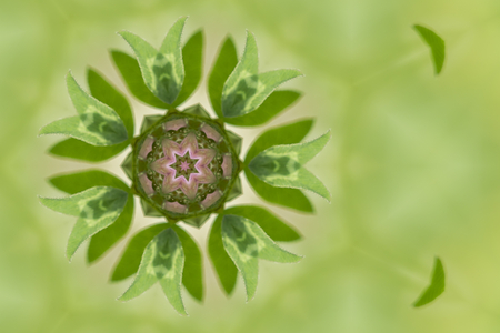kaleidoscopic green abstract backgroundの写真素材