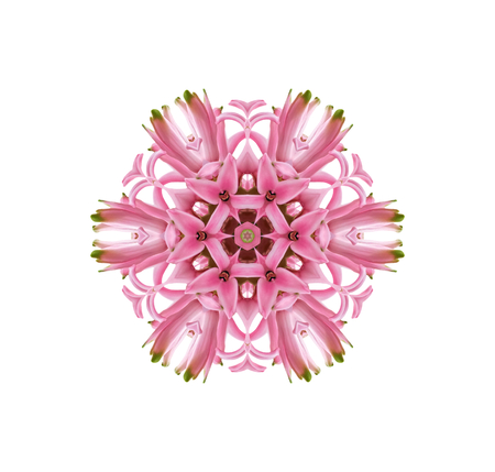 stylized pink snowflake for decorationの写真素材