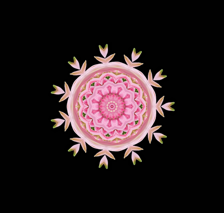 stylized pink snowflake for decorationの写真素材