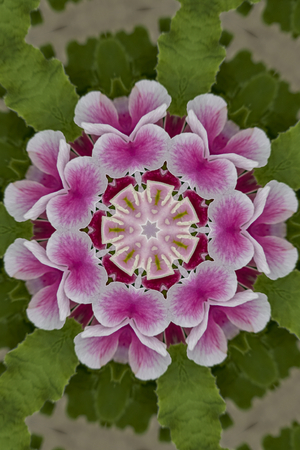 kaleidoscope floral background for decorationの写真素材