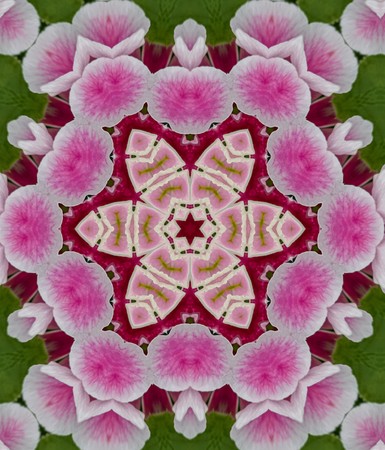 kaleidoscope floral background for decorationの写真素材