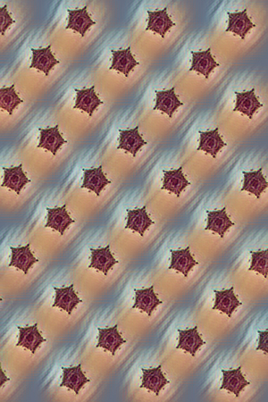 abstract dots pattern for decorationの写真素材