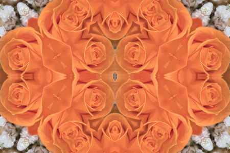 creative roses bouquet mandala backgroundの写真素材