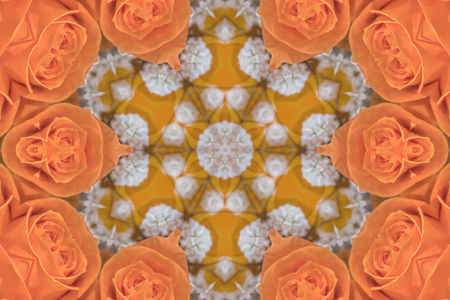 creative roses bouquet mandala backgroundの写真素材