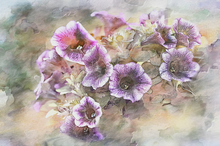 bellflower in bloom in springの写真素材