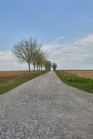 long road in the fieldの写真素材
