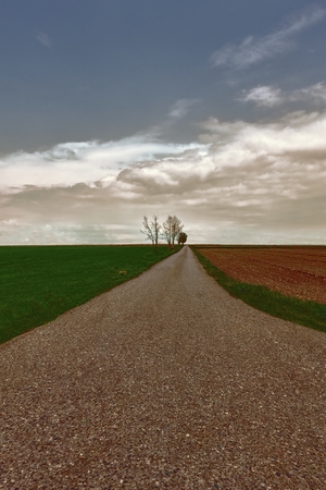 long road in the fieldの写真素材