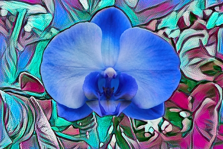 scenic blue orchid on texture backgroundの写真素材
