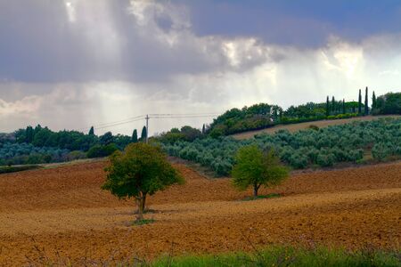 hilly landscapeの写真素材