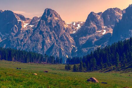 glacier on rocky mountain in summer seasonの写真素材