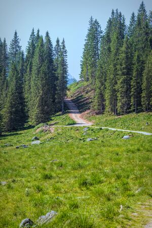 trail in the mountain for adventureの写真素材