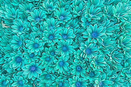colorful daisy in bloom in springの写真素材