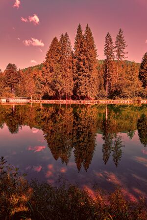 scenic landscape reflection on lakeの写真素材