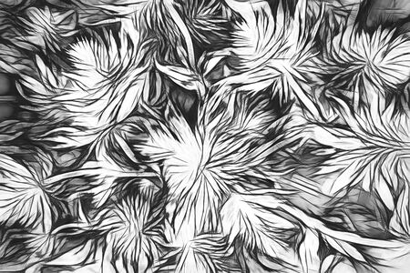 abstract floral background for decorationの写真素材