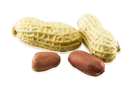 Penuts on a white background.