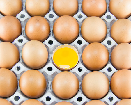 Brown eggs in detail on a tray.の写真素材